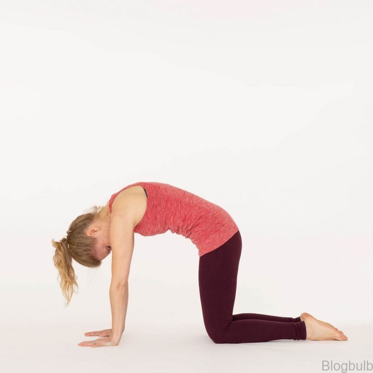 cat pose  10 yoga poses to help you improve your health 10 Yoga Poses To Help You Improve Your Health