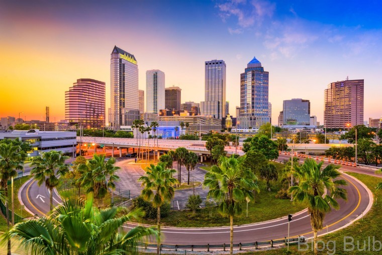 map of tampa the ultimate guide 8 Map of Tampa: The Ultimate Guide