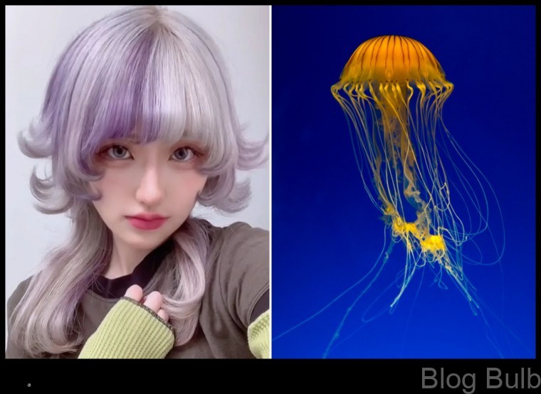 %name Jellyfish Haircuts The Latest Trend in Edgy Hairstyles