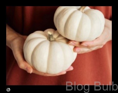 %name Pumpkin A Superfood for Skin, Hair, and Health